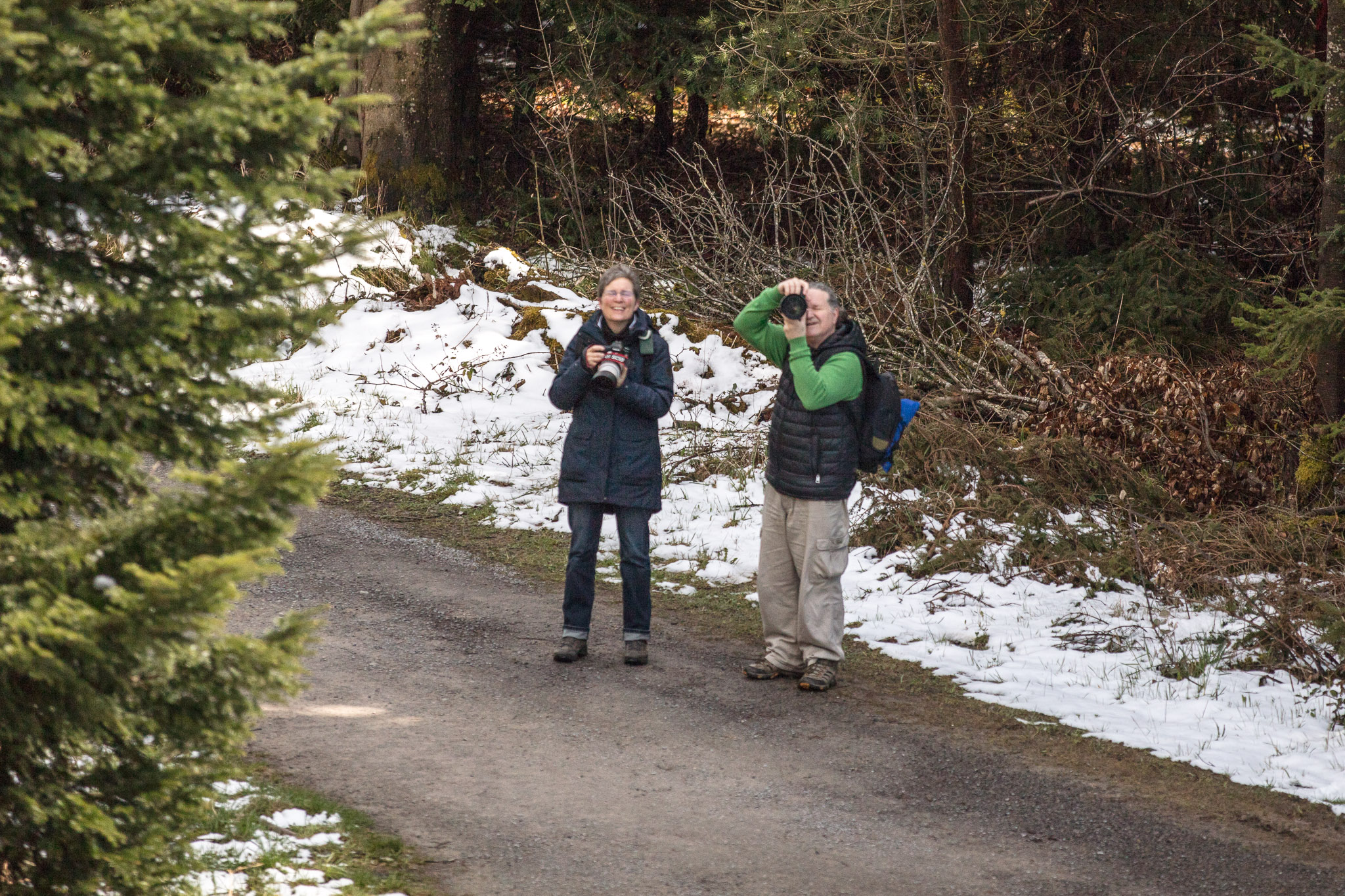 20220409144917 DP013969